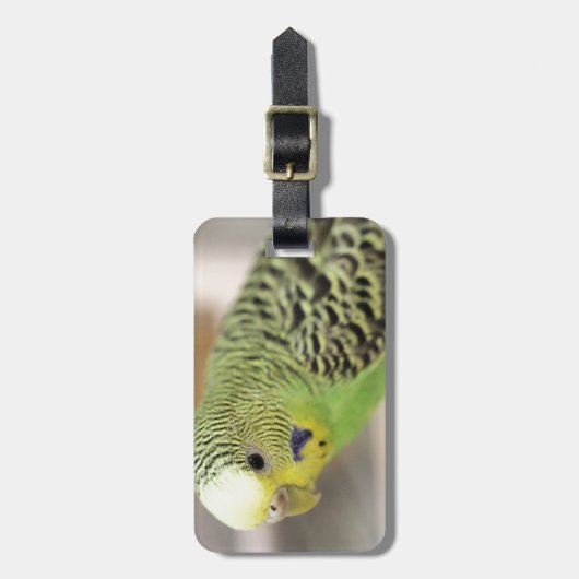 キウイ ラゲッジタグ (正面縦)