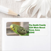 キウイ ラベル (インサイチュ)