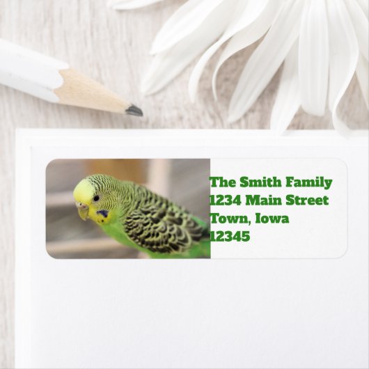 キウイ ラベル (インサイチュ)