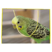 キウイ ラージペーパーバッグ (裏面)