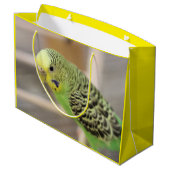 キウイ ラージペーパーバッグ (裏面アングル)