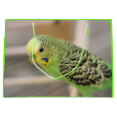 キウイ ラージペーパーバッグ (正面)