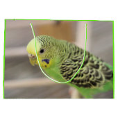 キウイ ラージペーパーバッグ (裏面)