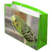 キウイ ラージペーパーバッグ (裏面アングル)