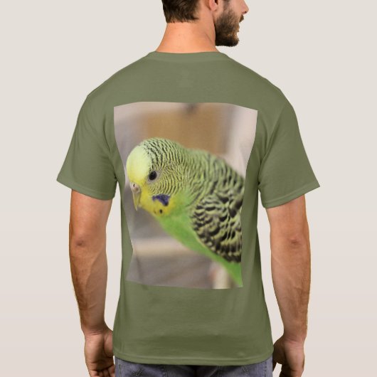 キウイ Tシャツ (裏面)