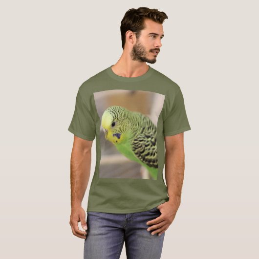 キウイ Tシャツ (正面フル)