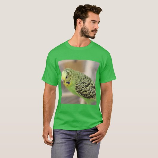 キウイ Tシャツ (正面フル)