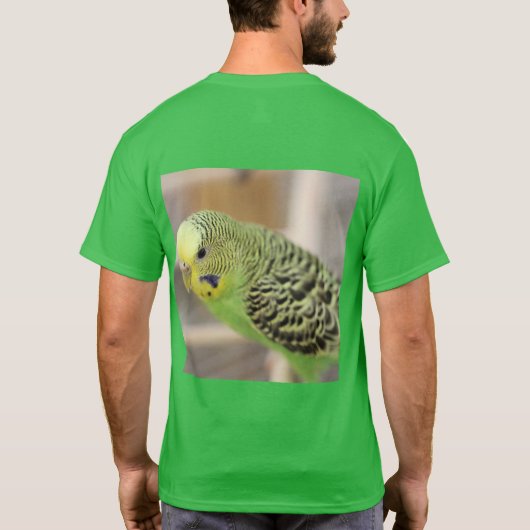 キウイ Tシャツ (裏面)