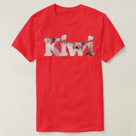 キウイ Tシャツ (デザイン正面)