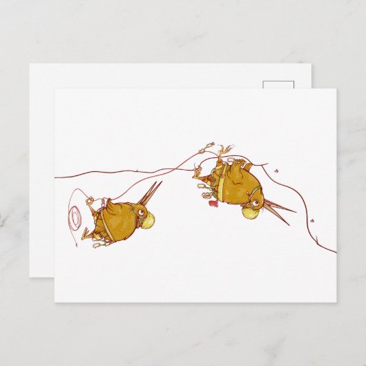 キウイNZバーズロック登山 ポストカード (正面/裏面)