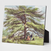 キウガーデの木の中のレバノン杉 フォトプラーク (側面)