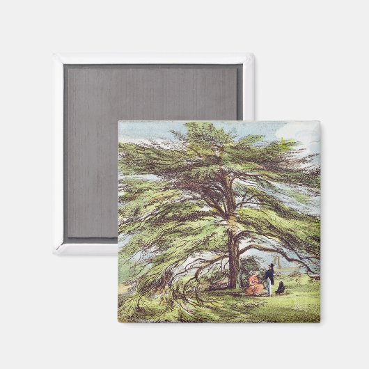 キウガーデの木の中のレバノン杉 マグネット (正面/裏面)