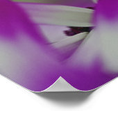 キウケンホフ・ガーデンの紫色の花を間近に控えた。 ポスター (角)