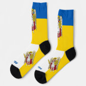 キエフ・ソックス、ウクライナ国旗、愛国的ウクライナ ソックス (左)