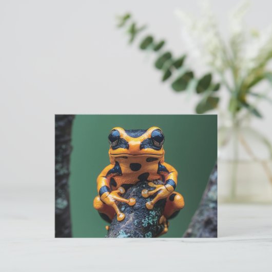 キガエル ポストカード (スタンド正面)