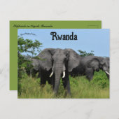 キガリルワンダのゾウ ポストカード (正面/裏面)