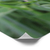 キキキョウ ポスター (角)