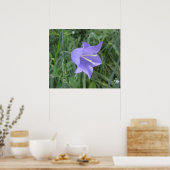 キキキョウ ポスター (キッチン)