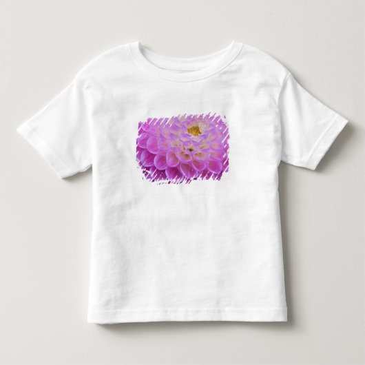 キクで墓地を飾る トドラーTシャツ (正面)