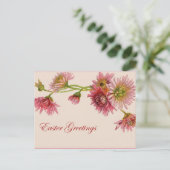 キクの復活祭 – 葉書 シーズンポストカード (スタンド正面)