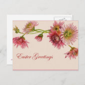 キクの復活祭 – 葉書 シーズンポストカード (正面/裏面)