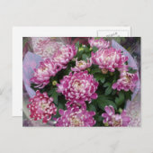 キクの花束 ポストカード (正面/裏面)