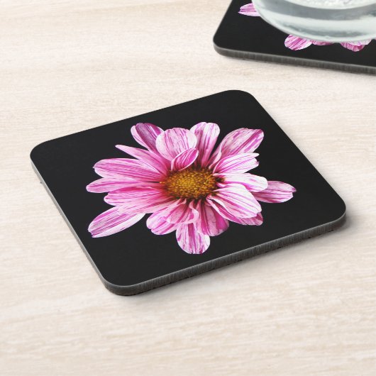 キクの花 コースター (左側)