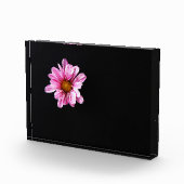 キクの花 フォトブロック (右)