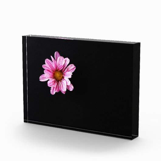 キクの花 フォトブロック (右)