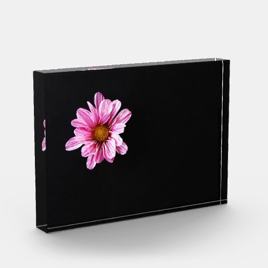 キクの花 フォトブロック (左)