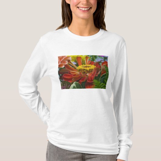 キクの花 Tシャツ (正面)