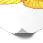 キクイムシ雌 ポスター (角)