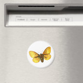 キクイムシ雌 マグネット (インサイチュ (食洗機))