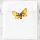 キクイムシ雌 ラウンドシール (バッグ)