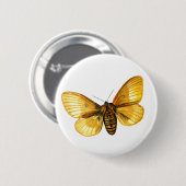 キクイムシ雌 缶バッジ (正面&裏面)