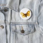 キクイムシ雌 缶バッジ (インサイチュ)