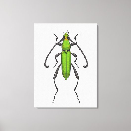 キクイムシ キャンバスプリント (正面)