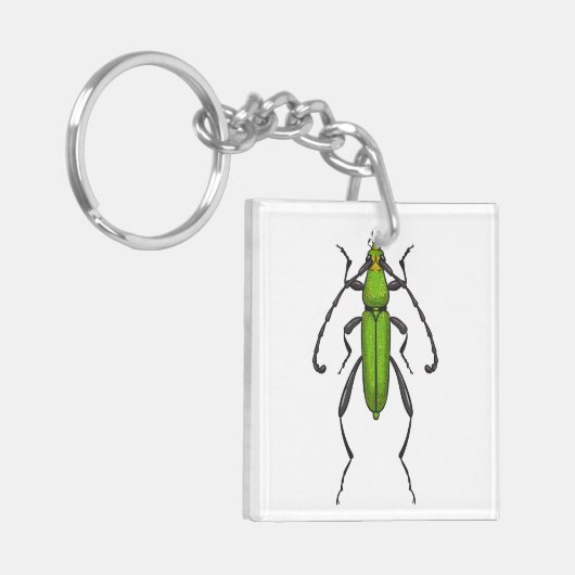 キクイムシ キーホルダー (正面左)