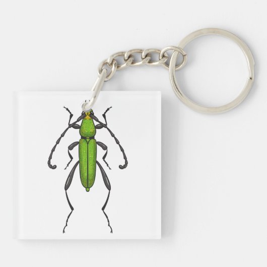 キクイムシ キーホルダー (裏面)