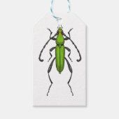 キクイムシ ギフトタグ (正面)