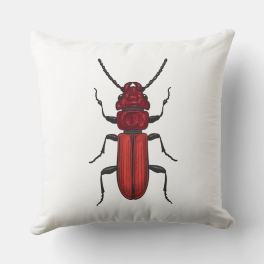 キクイムシ クッション (裏面)