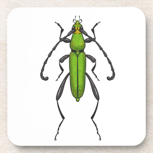 キクイムシ コースター (正面)