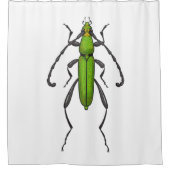 キクイムシ シャワーカーテン (正面)