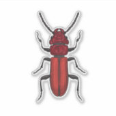 キクイムシ シール (正面)