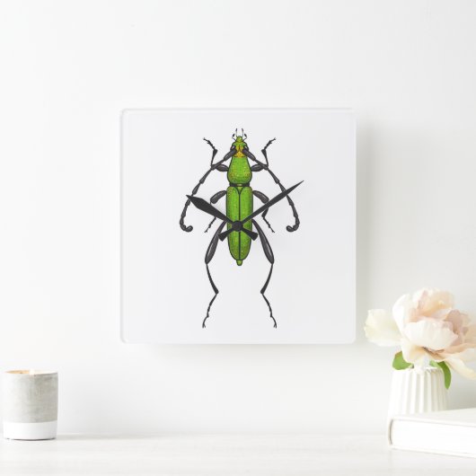 キクイムシ スクエア壁時計 (ホーム)