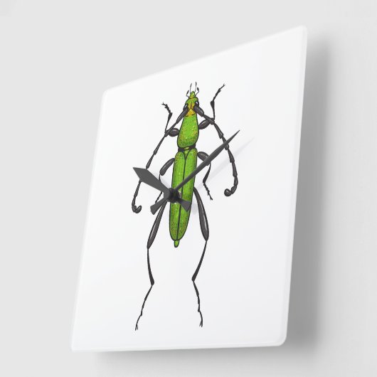 キクイムシ スクエア壁時計 (傾斜)