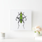 キクイムシ スクエア壁時計 (ホーム)