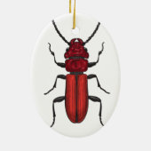 キクイムシ セラミックオーナメント (裏面)