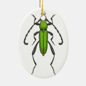 キクイムシ セラミックオーナメント (裏面)