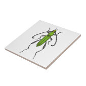 キクイムシ タイル (側面)